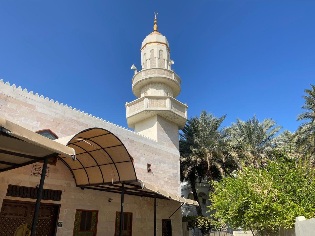 Mohammad شقة *